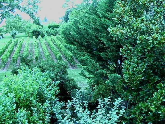 Les Id De Saint Emilion Bed & Breakfast エクステリア 写真
